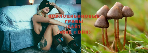 бутират Медногорск
