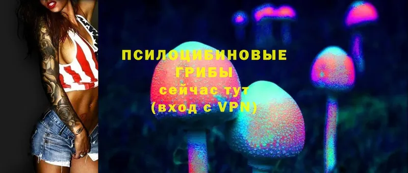 Псилоцибиновые грибы MAGIC MUSHROOMS  Зеленогорск 