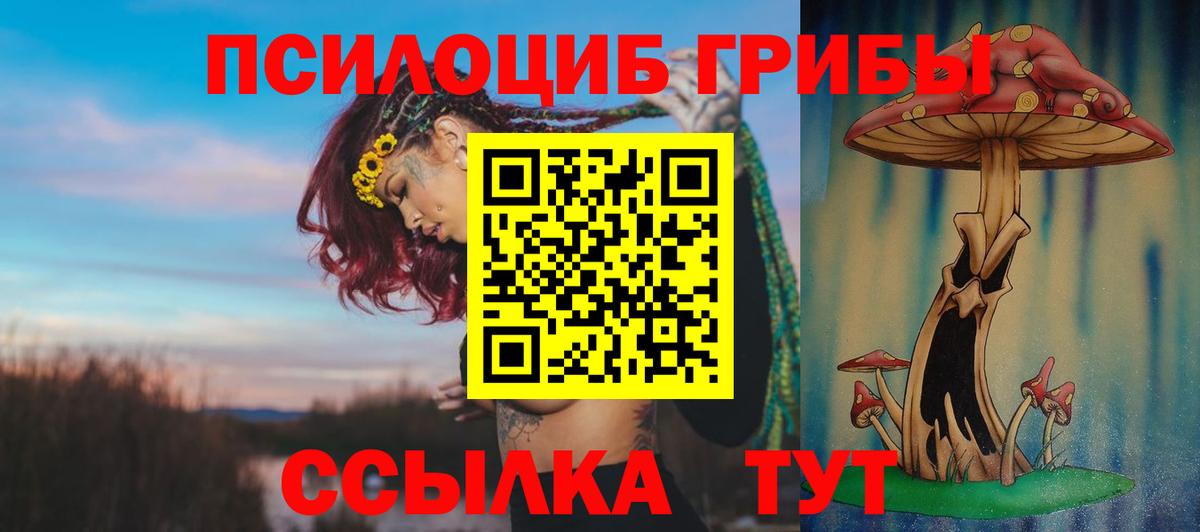 Галлюциногенные грибы Psilocybine cubensis  Псилоцибиновые грибы прущие грибы  Зеленогорск 